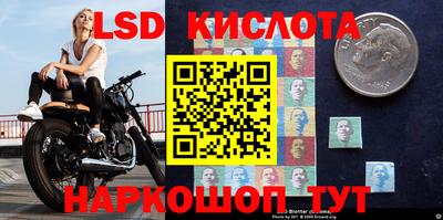 сатива Брянск
