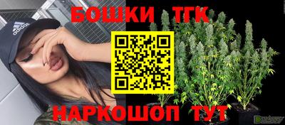 сатива Брянск